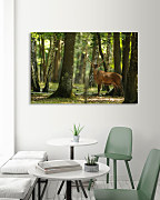 Obraz Jeleň v lese zs1153